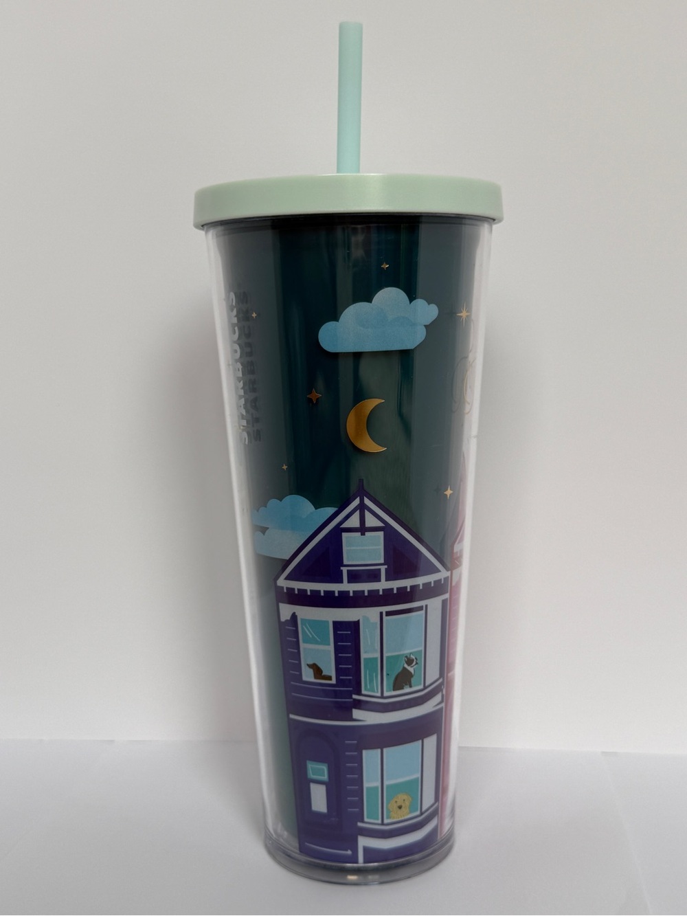Starbucks Mint and Navy Night House Tumbler